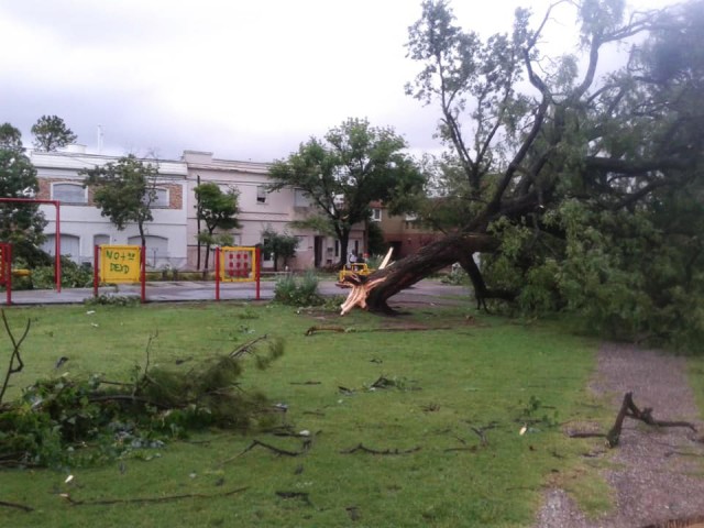 El análisis de nuestra Estación Climatológica sobre la tormenta que azotó la ciudad