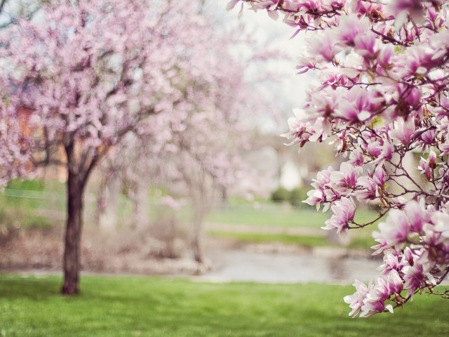 Una primavera, hace algunos años...