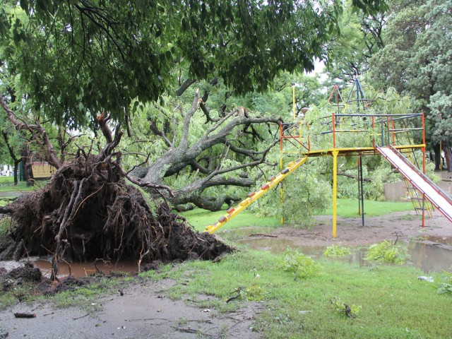 Cómo fue el fuerte temporal que azotó a nuestra ciudad